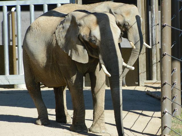 Cheyenne Mountain Zoo